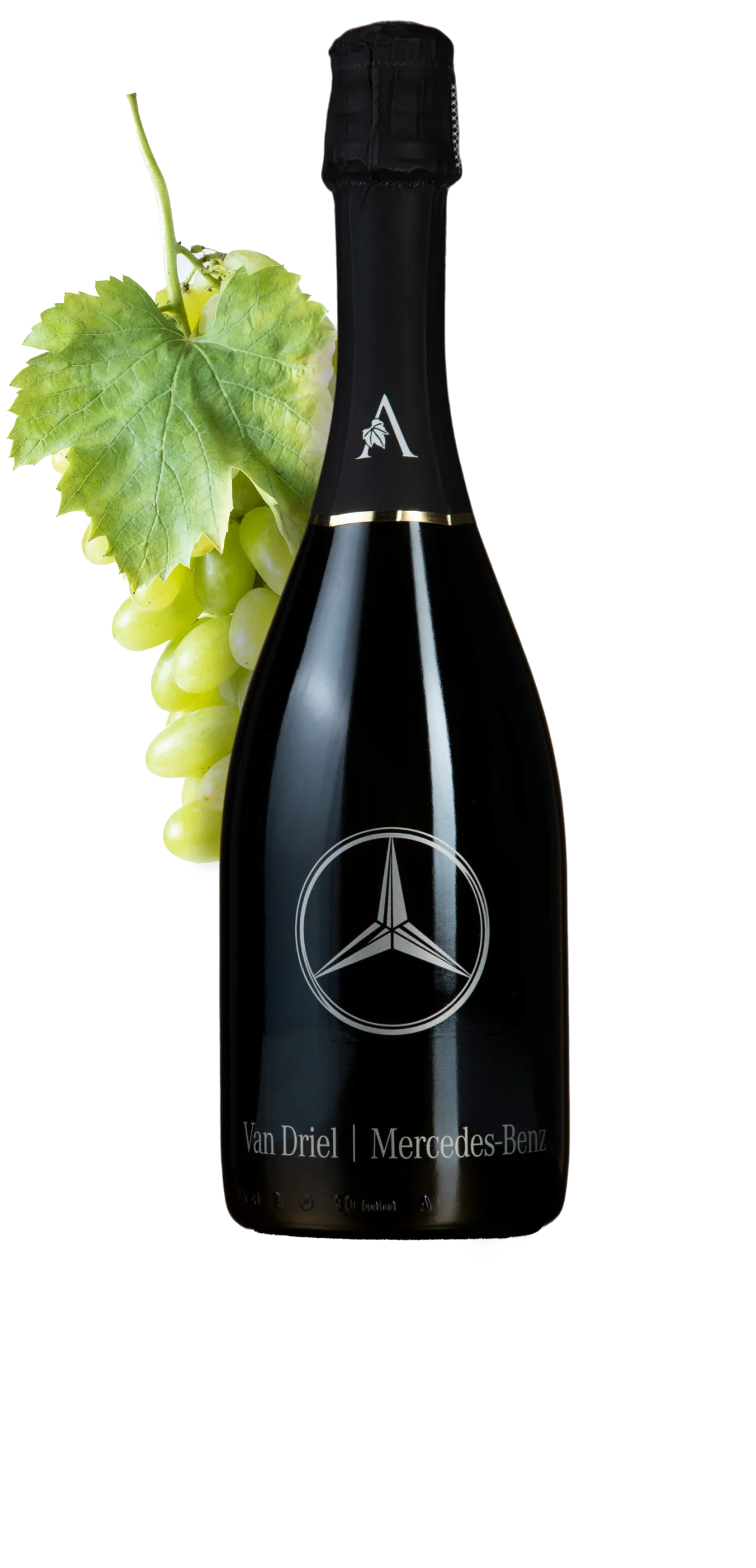 Prosecco (Glera)