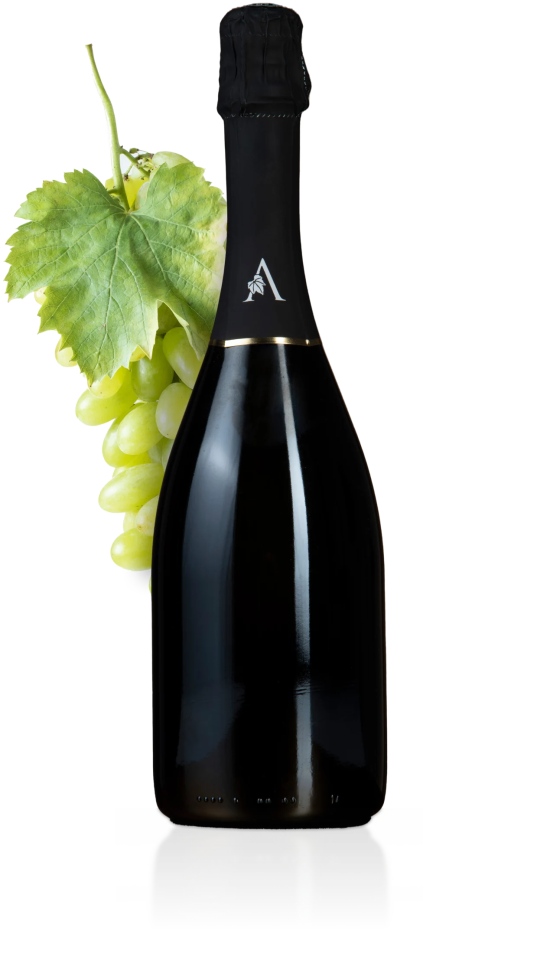 Prosecco (Glera)