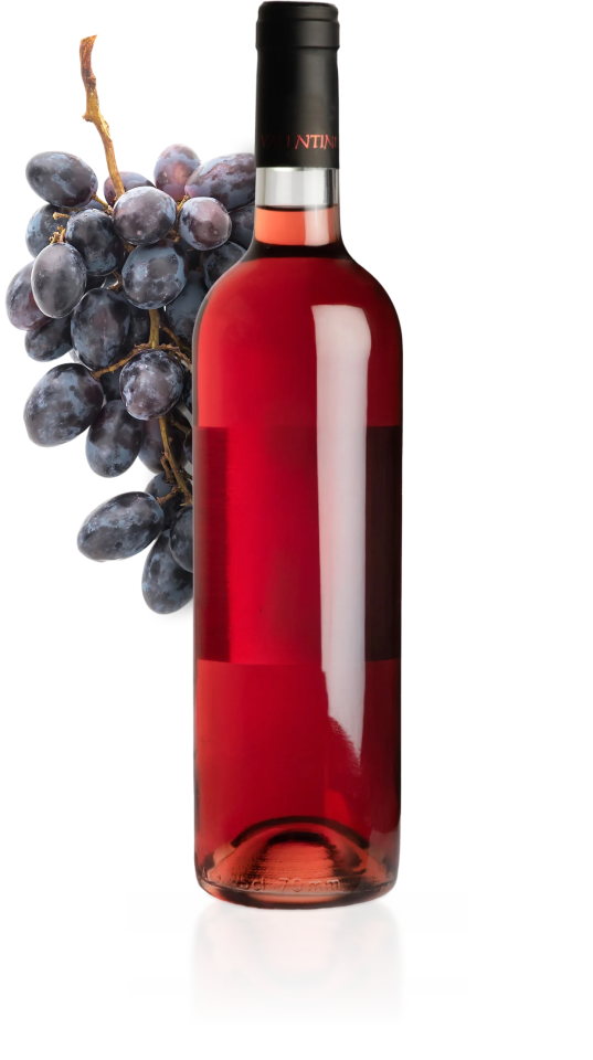 Rosé (Sangiovese/Syrah)