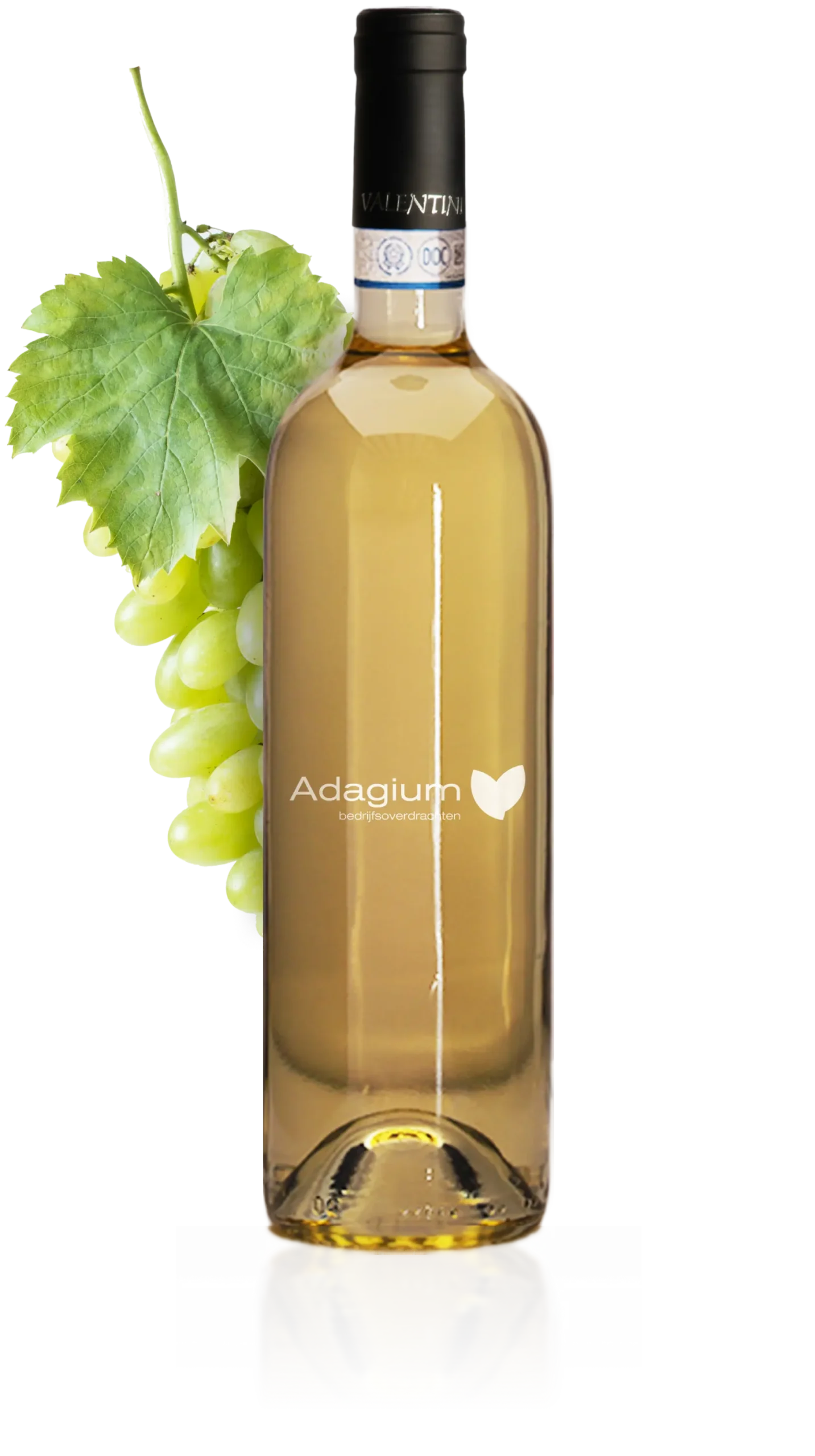 Wit (Vermentino)