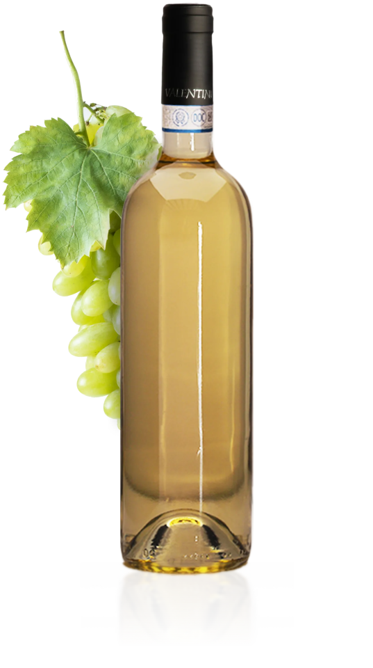 Wit (Vermentino)